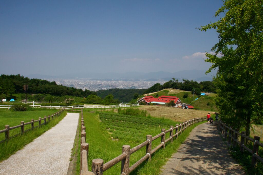 福岡市南区のABURAYAMA FUKUOKA。乗馬700円・乳しぼり300円、予約なしで当日受付 牧場の放牧地と福岡市街の眺め