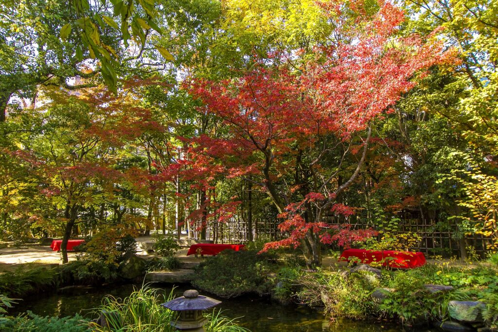 【紅葉】福岡市博多区住吉の楽水園 楽水園の紅葉（2014年撮影）