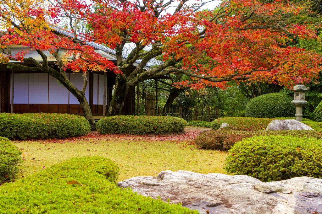 【紅葉】福岡市中央区平尾の松風園 松風園の紅葉と茶室（2014年撮影）