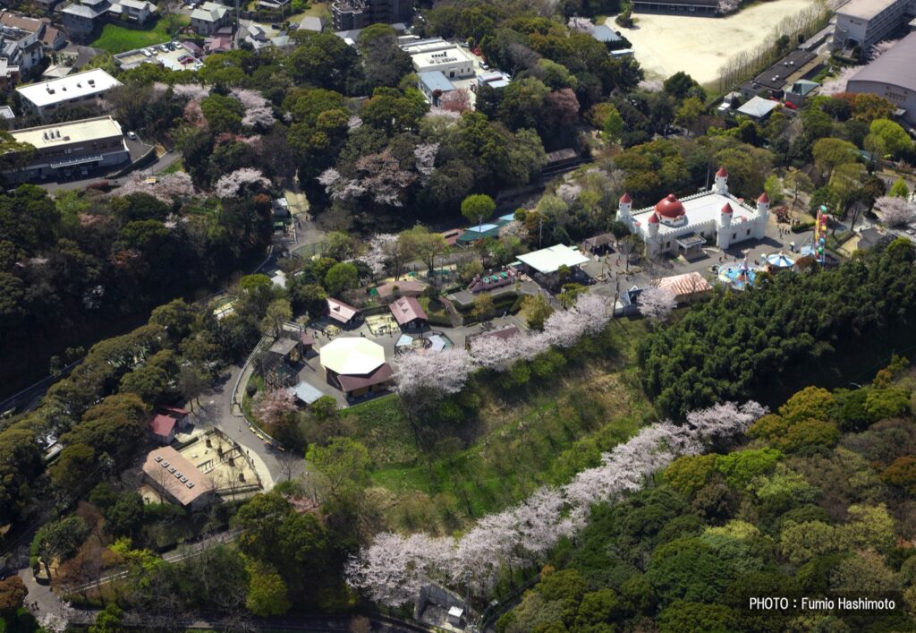 10月3日・4日は入園無料。福岡市動植物園、一人一花サミットの2日間 福岡市動植物園・上空から