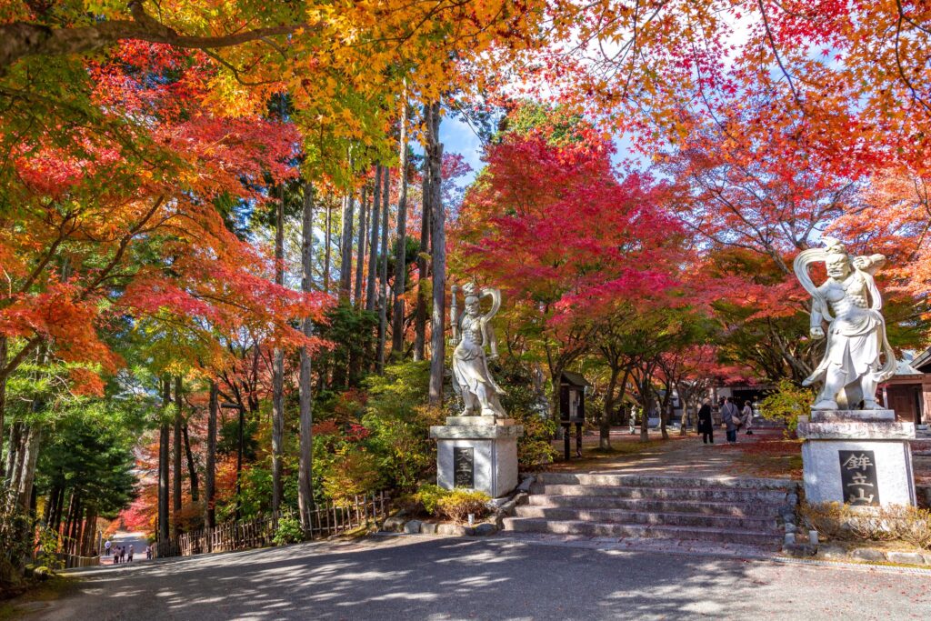 【紅葉】糟屋郡篠栗町の呑山観音寺 紅葉した参道と石像