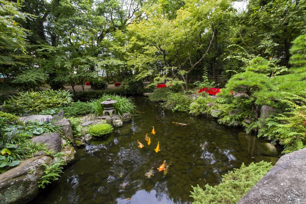 【紅葉】福岡市博多区住吉の楽水園 楽水園の池（2014年撮影）