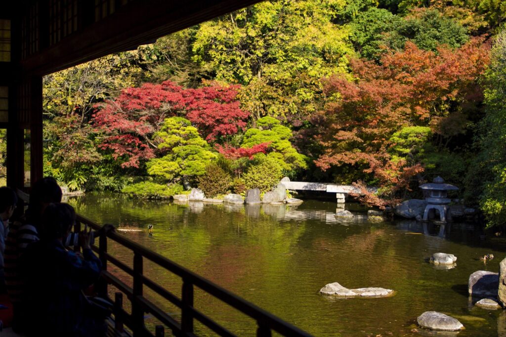 【紅葉】福岡市城南区の友泉亭公園 友泉亭公園の池と紅葉(2014年撮影)