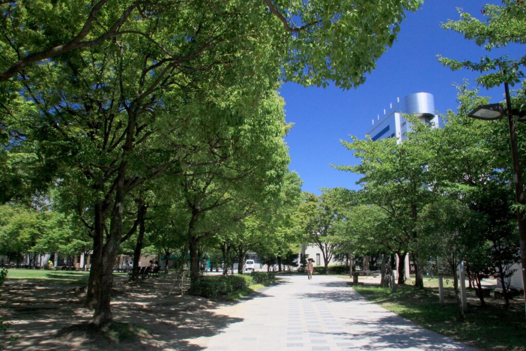 福岡市役所周辺の駐車場。地下駐車場と天神中央公園の料金 天神中央公園（2009）