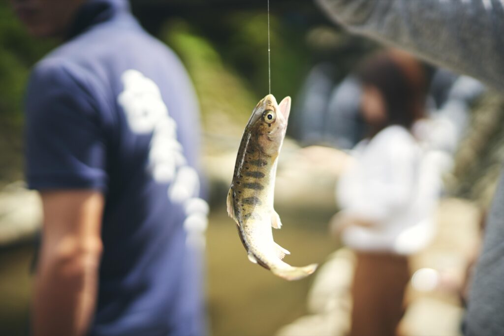 糸島・白糸の滝の営業時間と駐車場。そうめん流し・やまめ釣りの料金 やまめ釣り
