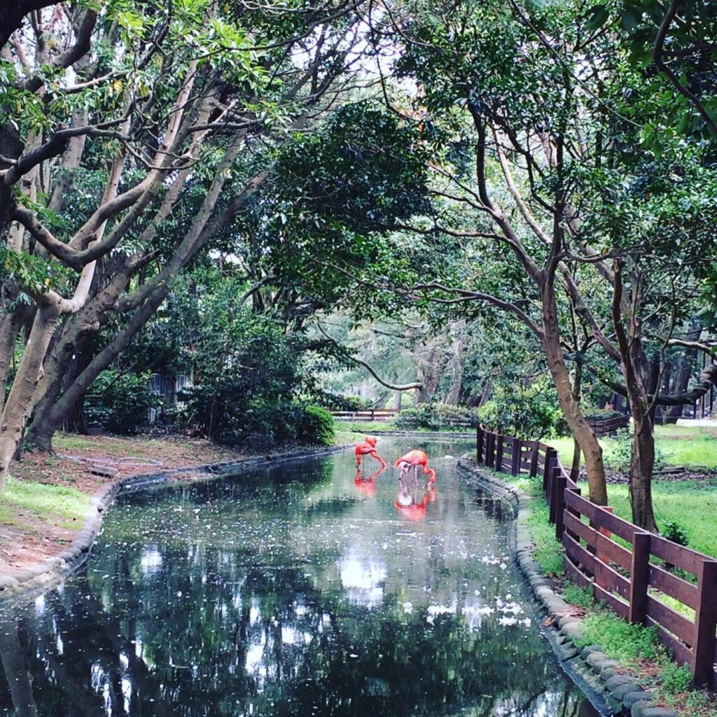福岡市東区・海の中道海浜公園。中学生以下は入園無料、遊具と園内移動の料金を確認 園内の水辺