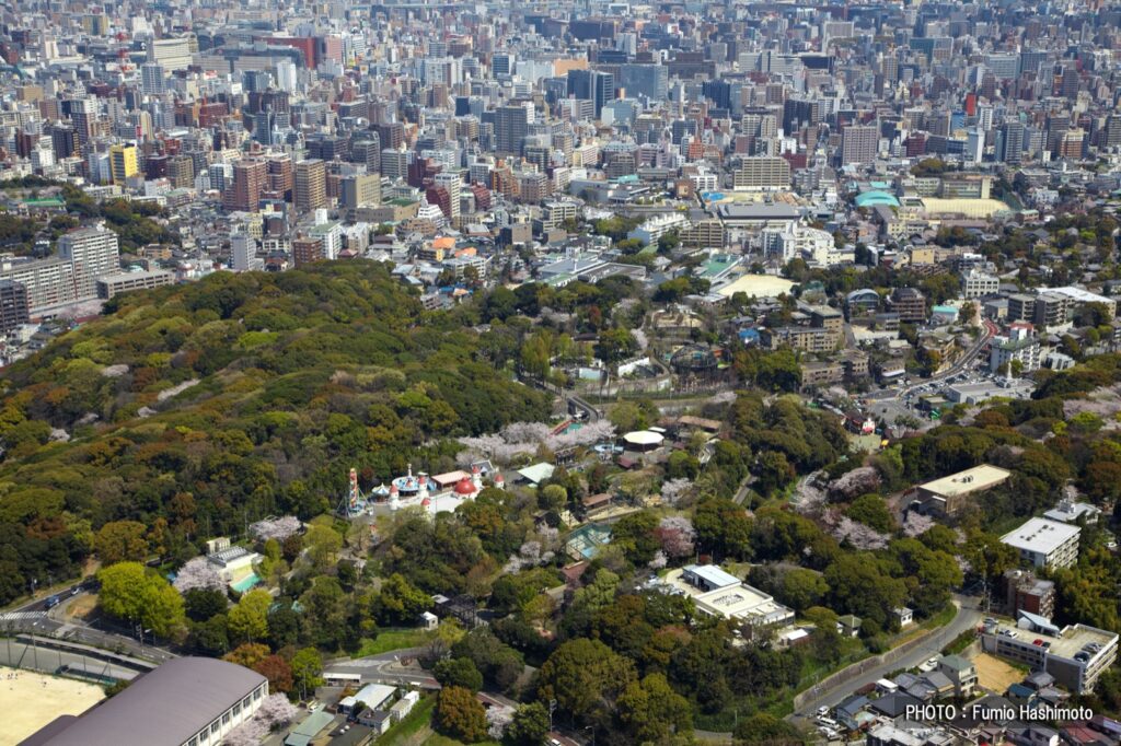 10月3日・4日は入園無料。福岡市動植物園、一人一花サミットの2日間 福岡市動植物園・上空から(別アングル2)