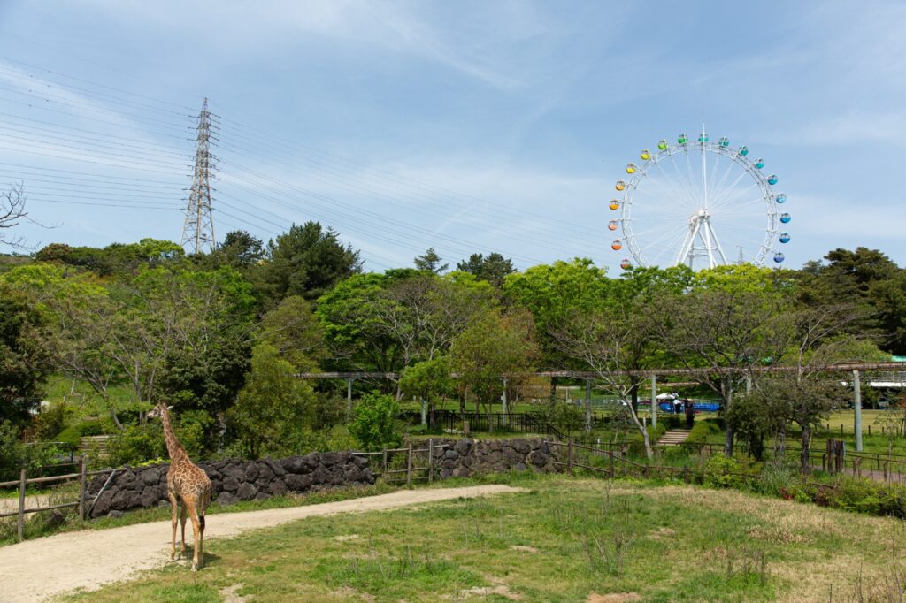 到津の森公園(小倉北区)の入園料・営業時間・駐車場 到津の森公園04