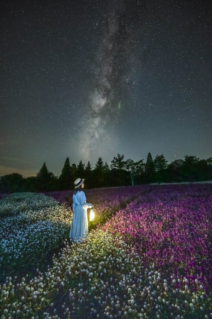 大分の秋2026。くじゅう花公園夜間開園、2027年開業の宿3つ ナイトフラワーパークの夜の花畑と星空(イメージ)