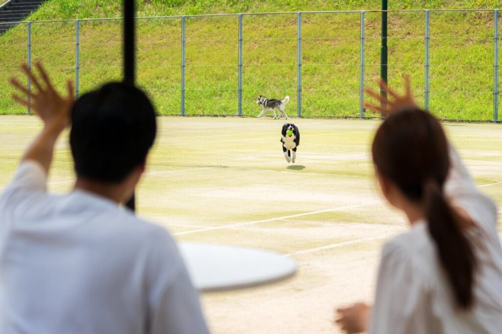 大分の秋2026。くじゅう花公園夜間開園、2027年開業の宿3つ 大型犬も走れる「だいちラン」