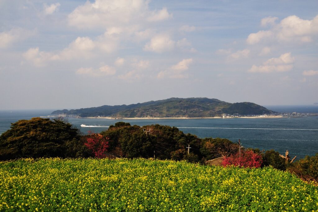 福岡のコスモス名所2026。能古島は10月上旬、水巻は24・25日 のこのしまアイランドパーク(紅葉とコスモスと海)