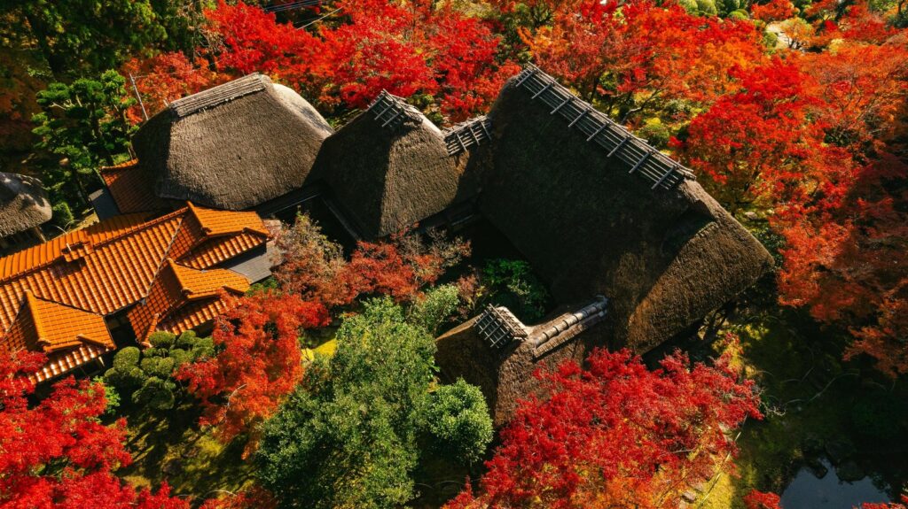 【紅葉】佐賀県神埼市の九年庵 秋の一般公開 紅葉と九年庵の茅葺屋根