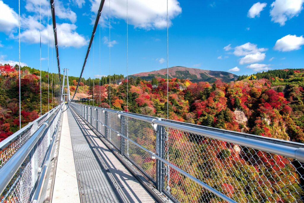 【紅葉】大分県九重町の九重"夢"大吊橋 橋の上から見る紅葉