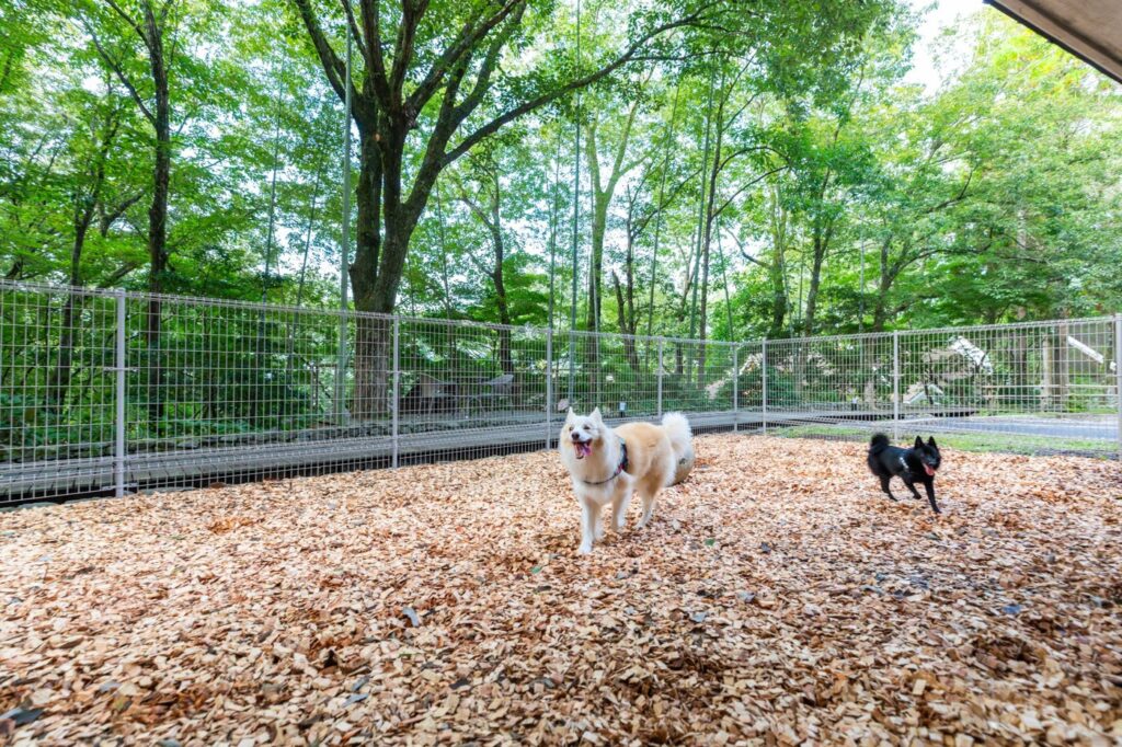 レジーナリゾート由布院。愛犬と泊まる全室温泉の宿、2名素泊まり41,560円から ドッグラン(全犬種用エリア)