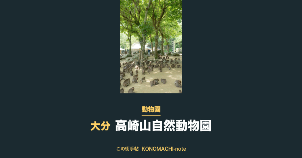 高崎山自然動物園 サル寄せ場の様子