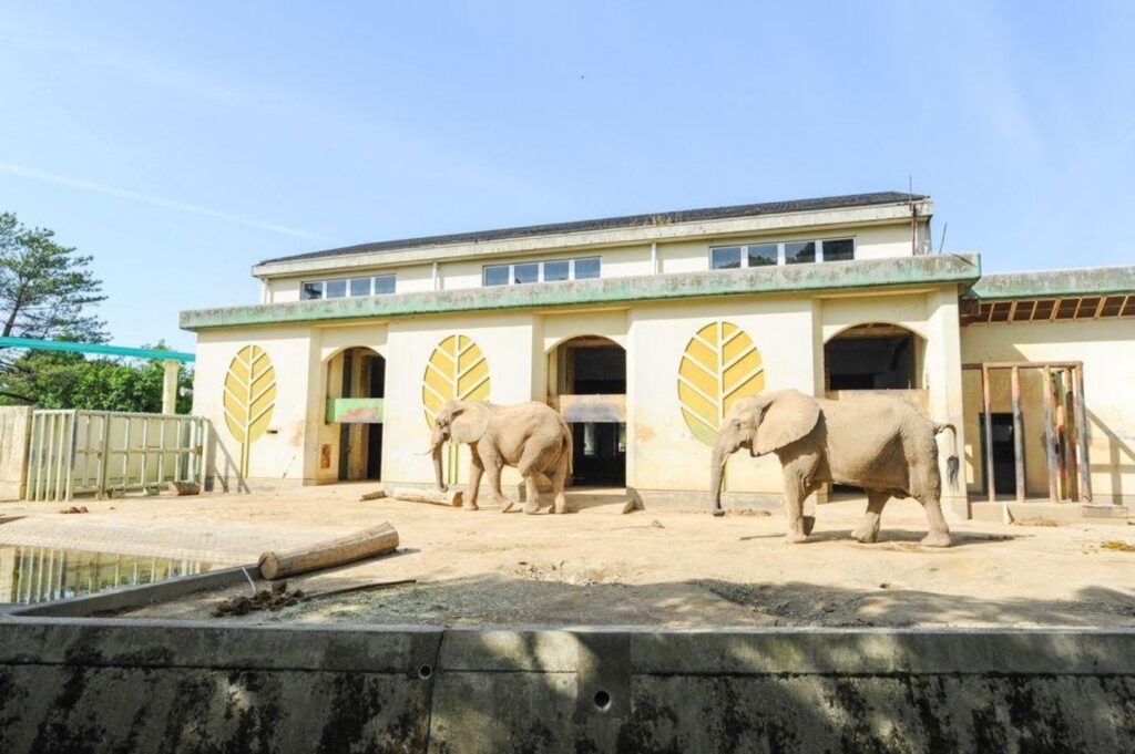 Kumamoto City Zoological and Botanical Gardens