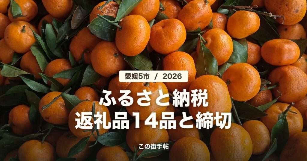愛媛県のふるさと納税(みかんの写真)