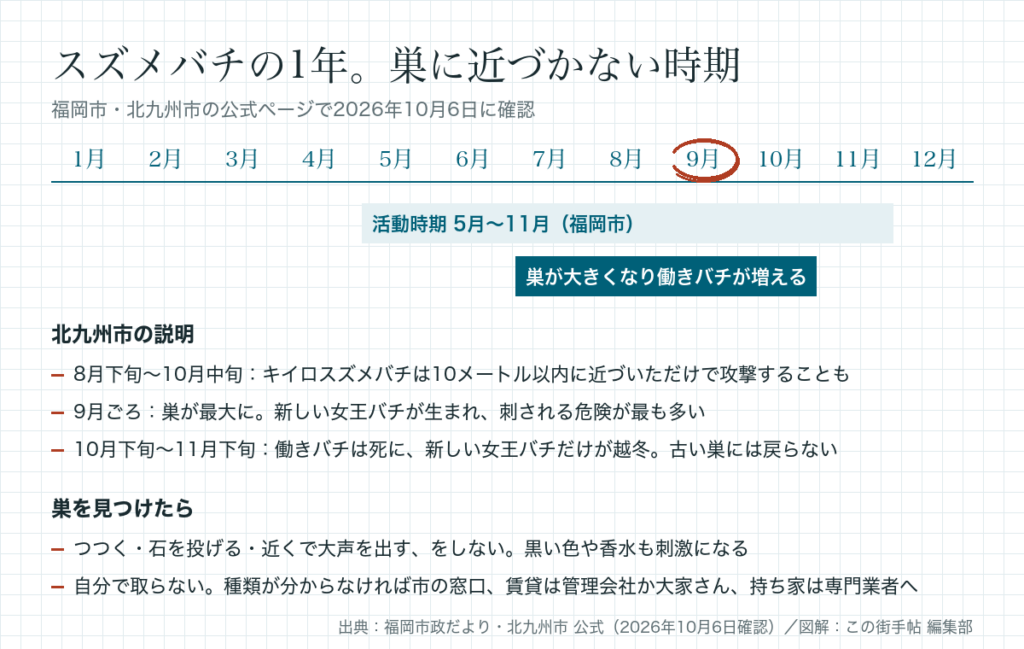 スズメバチの活動時期(5月〜11月)、巣が大きくなる時期(7月〜10月)、巣が最大になる9月を月の目盛りで示し、北九州市の説明と巣を見つけたときの注意を箇条で並べた図