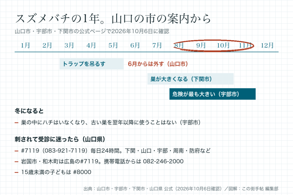 スズメバチの1年の図。3〜5月はトラップ、7〜10月に巣が大きくなり、8〜11月が最も危険。#7119などの電話相談先