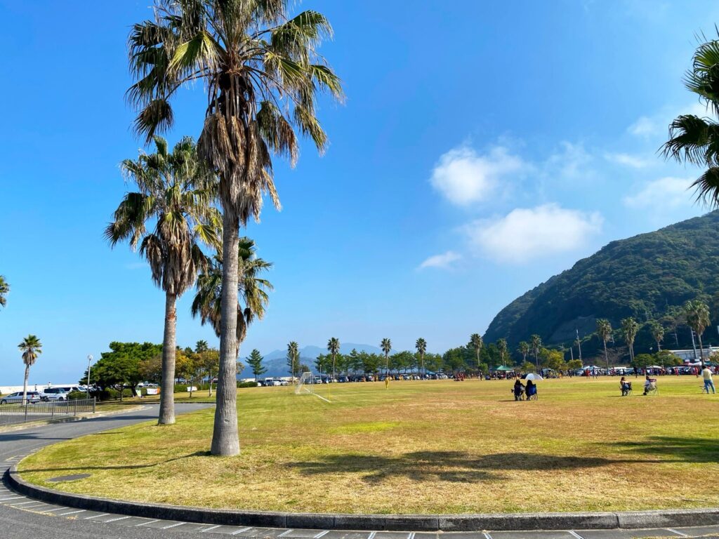 熊本県の道の駅20駅。営業時間・休みと温泉のある駅を比べる 芝生の広場とヤシの木
