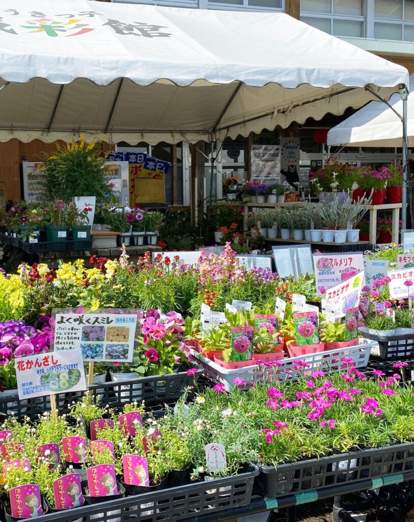 熊本県の道の駅20駅。営業時間・休みと温泉のある駅を比べる 店頭の花苗売場