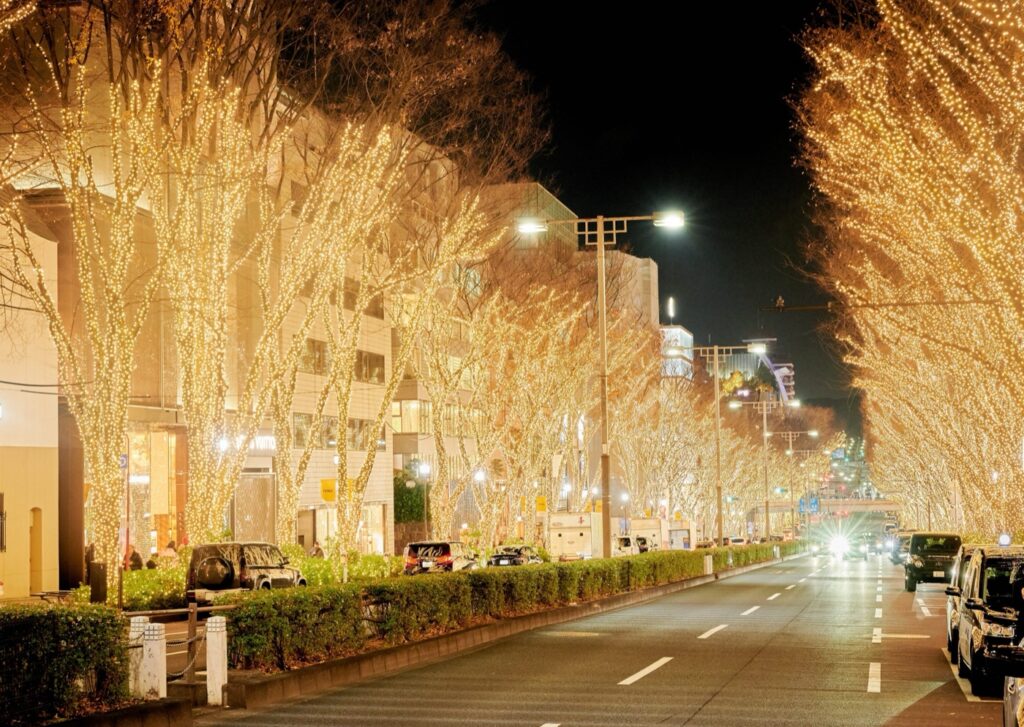The illuminated zelkova trees along Omotesando