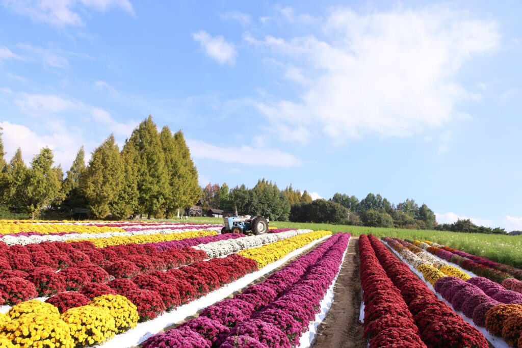 世羅高原農場