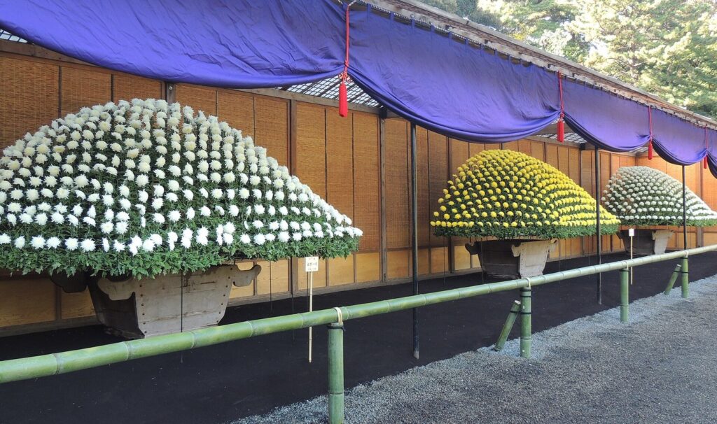 新宿御苑