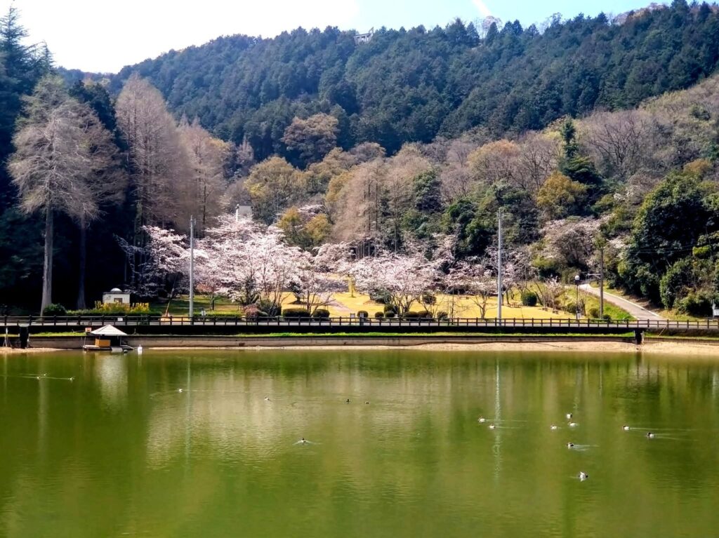 滝の宮公園