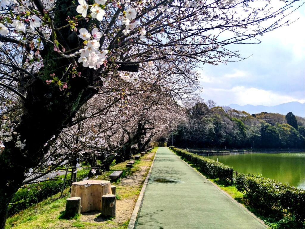 滝の宮公園