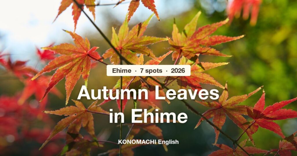 Red maple leaves in sunlight, with the title Autumn Leaves in Ehime