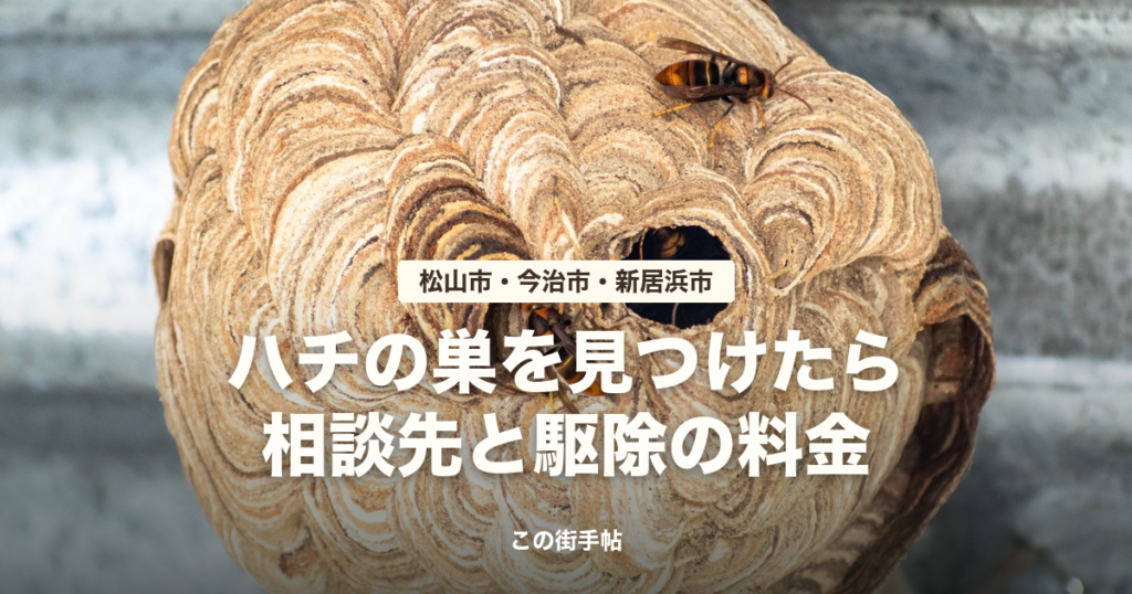 ハチの巣を見つけたら 松山市・今治市・新居浜市の相談先と駆除の料金(スズメバチの巣の写真に題名を重ねたサムネイル)