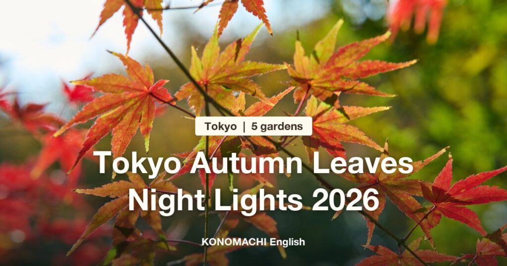 Red maple leaves, with the title Tokyo Autumn Leaves Night Lights 2026