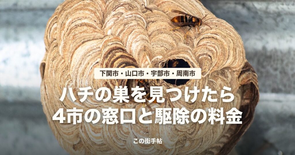 ハチの巣を見つけたら(山口4市)の記事のサムネイル(スズメバチの巣の写真に題名)