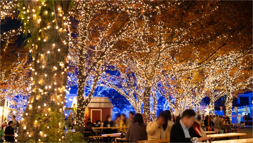 福岡のクリスマスマーケット2026。博多駅前は11月7日から、入場無料 天神中央公園「光のフォレスト」(過去の開催)