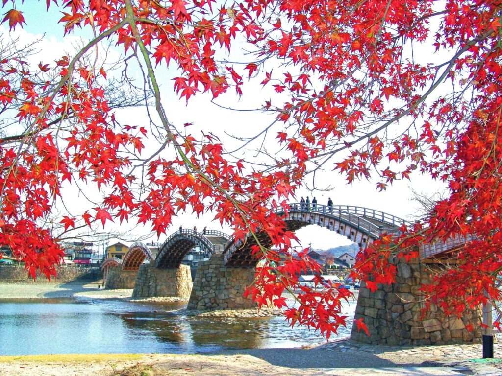 Autumn Leaves in Yamaguchi 2026: 7 Spots Compared by Peak Time, Cost and Parking Kintaikyo Bridge framed by red maple leaves