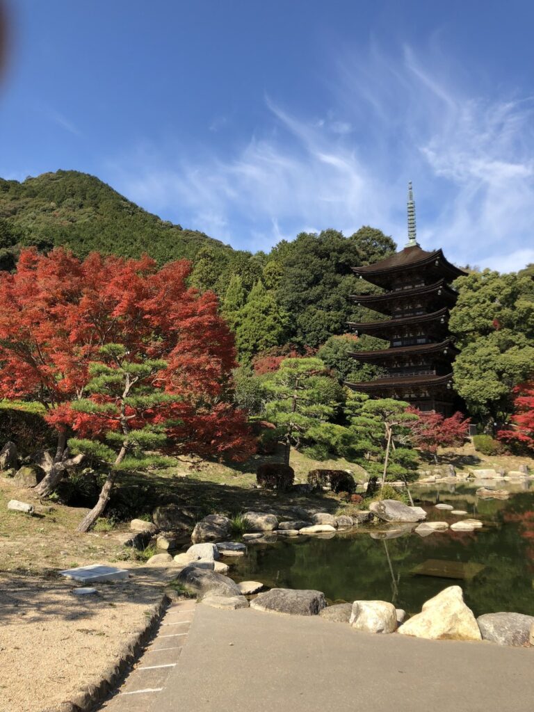 山口の紅葉とライトアップ2026|7か所の見頃目安・料金・駐車場 瑠璃光寺五重塔(香山公園)の紅葉