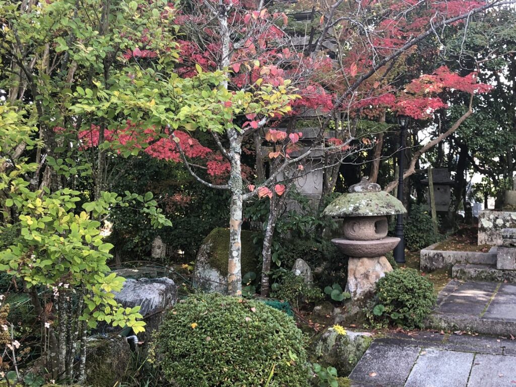 山口の紅葉とライトアップ2026|7か所の見頃目安・料金・駐車場 龍福寺の境内の紅葉