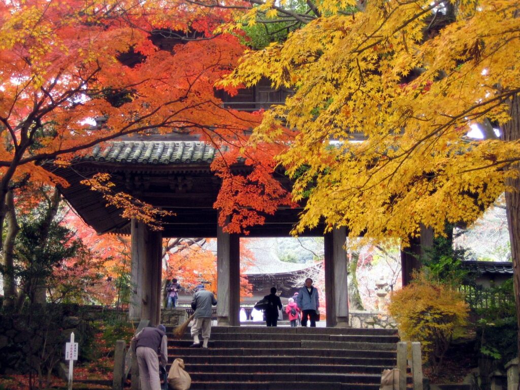 山口の紅葉とライトアップ2026|7か所の見頃目安・料金・駐車場 功山寺の紅葉