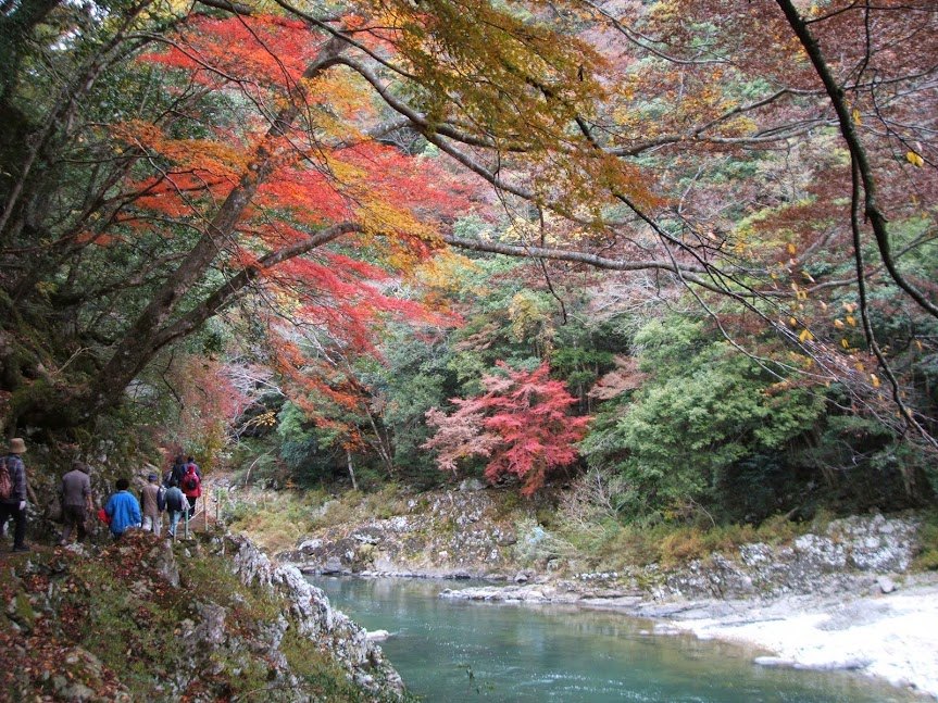 Autumn Leaves in Yamaguchi 2026: 7 Spots Compared by Peak Time, Cost and Parking Chomonkyo Gorge and autumn leaves