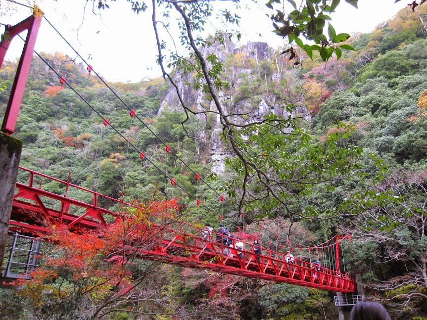 山口の紅葉とライトアップ2026|7か所の見頃目安・料金・駐車場 長門峡の紅葉と橋