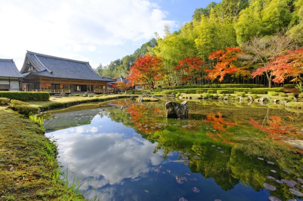 山口の紅葉とライトアップ2026|7か所の見頃目安・料金・駐車場 常栄寺雪舟庭の池と紅葉